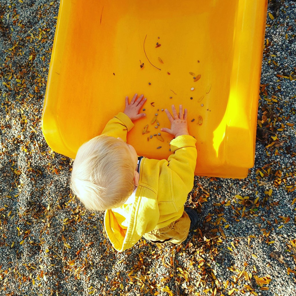 Vestibular Activities for Toddlers (Movement Play for Regulation)